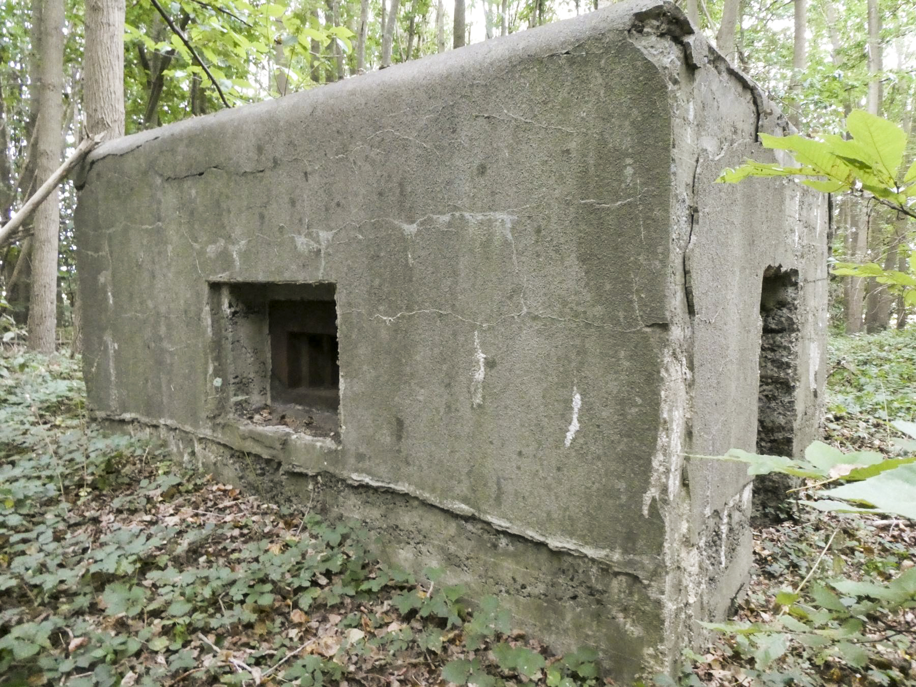 Ligne Maginot - TRINQUETTE (PDS) - (Blockhaus pour arme infanterie) - Vue de derrière, créneau gauche - ELLENA Daniel - CUNY Philippe
