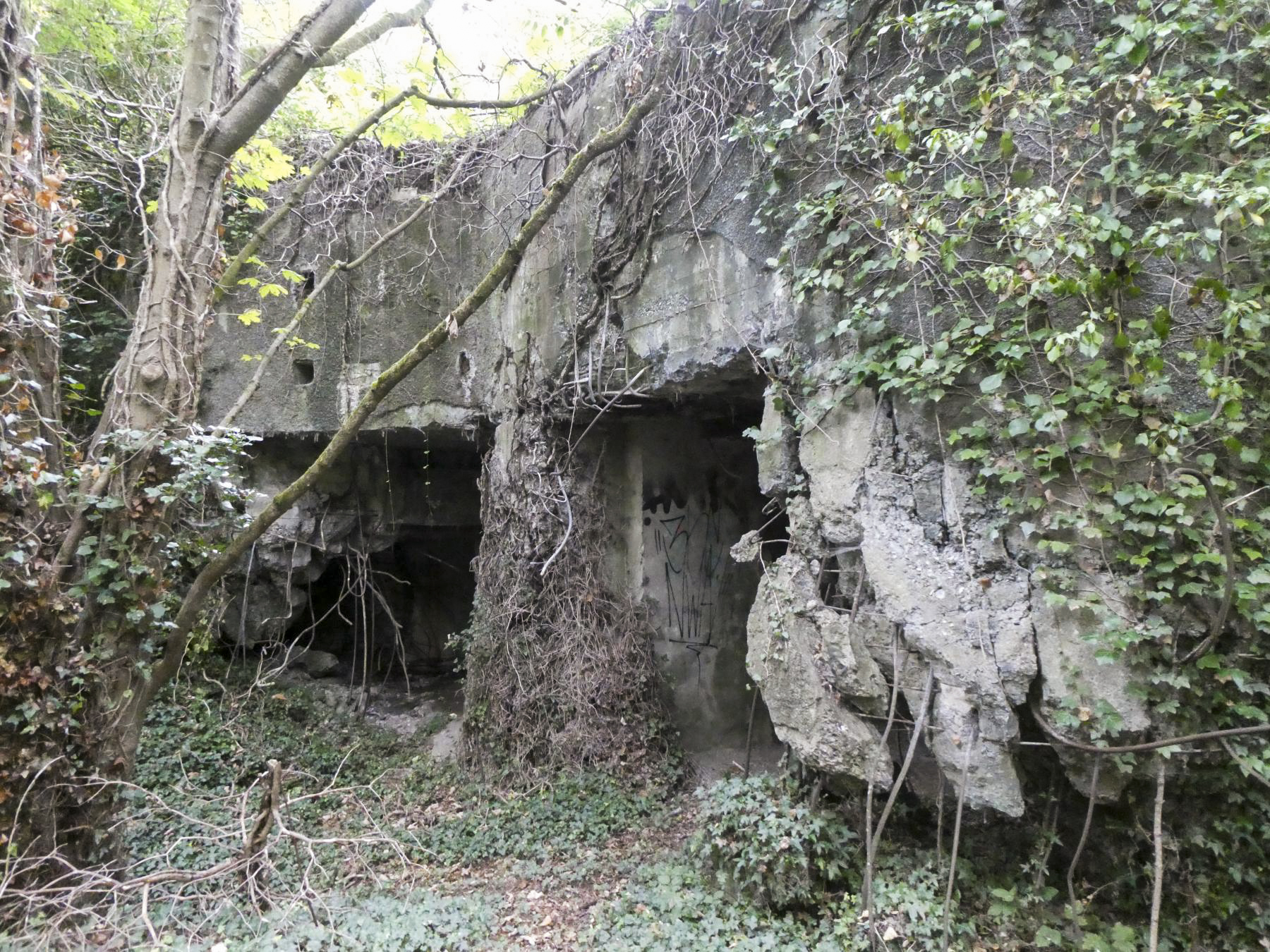 Ligne Maginot - FORT DE MAULDE EST - (Casemate d'artillerie) - Les deux entrées pour canon de 75 mm - ELLENA Daniel - CUNY Philippe
