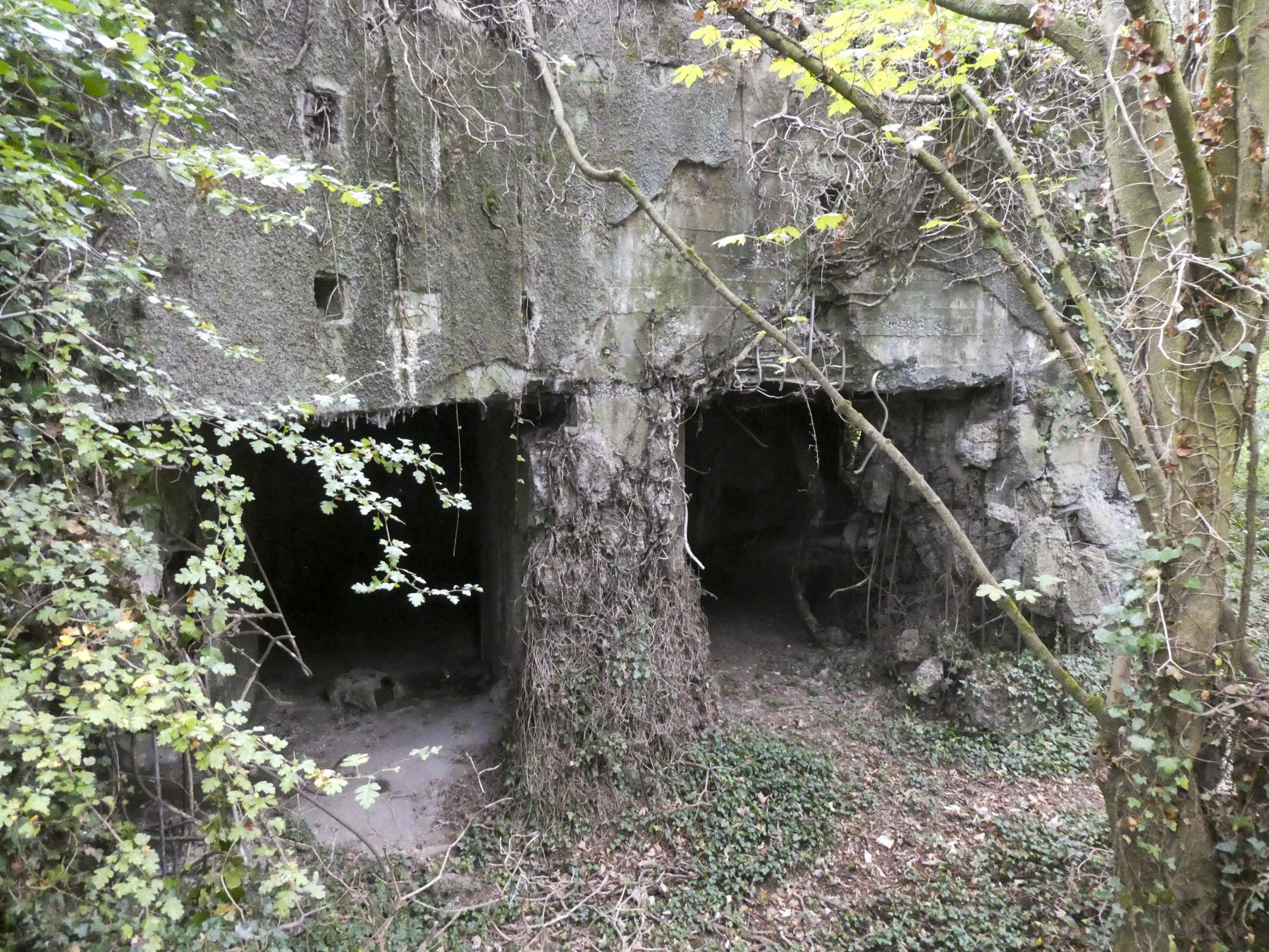 Ligne Maginot - FORT DE MAULDE EST - (Casemate d'artillerie) - Les deux entrées pour canon de 75 mm - ELLENA Daniel - CUNY Philippe