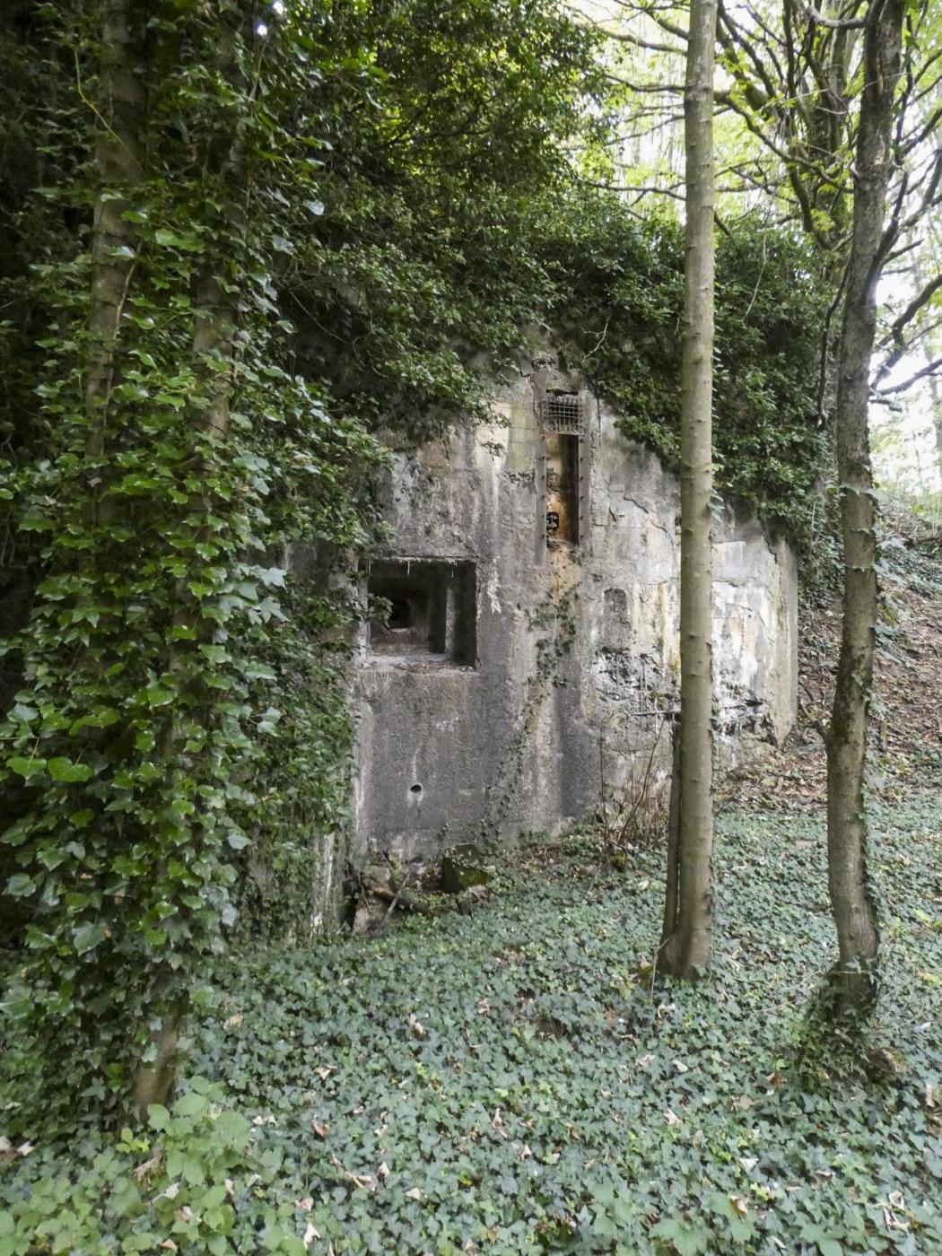 Ligne Maginot - FORT DE MAULDE EST - (Casemate d'artillerie) - Créneau FM - ELLENA Daniel - CUNY Philippe