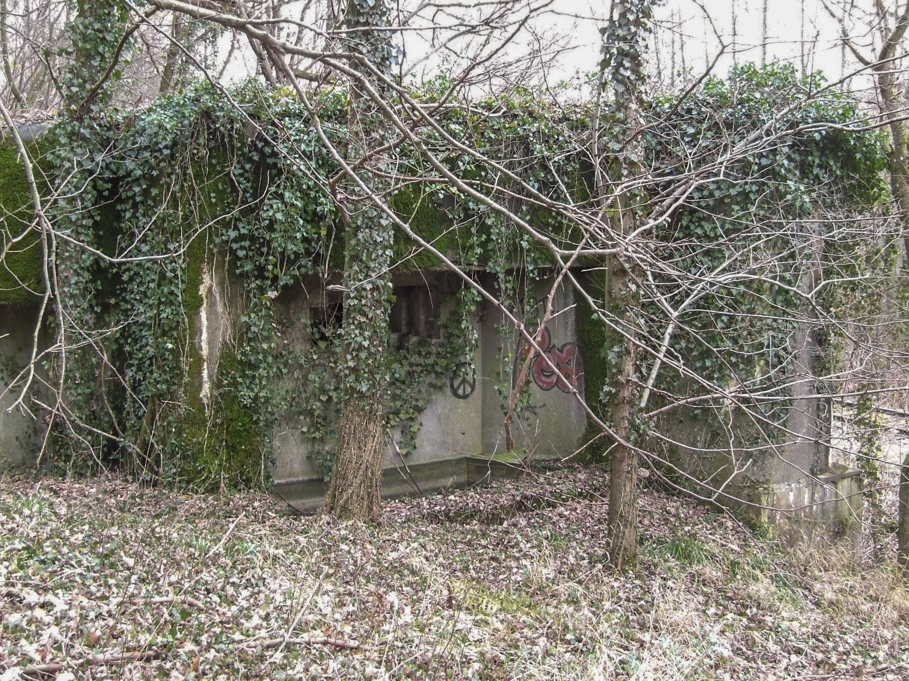 Ligne Maginot - SCHIRRHEINERWEG OUEST - (Casemate d'infanterie - Simple) - La façade de tir vers le sud. - STENGER Mathieu