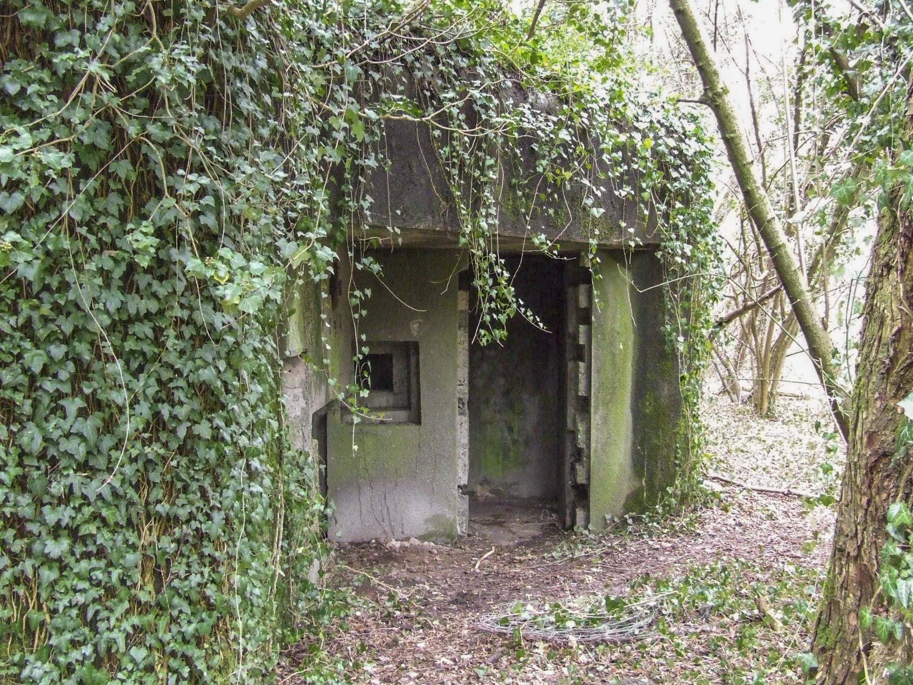 Ligne Maginot - SCHIRRHEINERWEG EST - (Casemate d'infanterie - Simple) - L'entrée pour les hommes et le créneau pour FM. - STENGER Mathieu