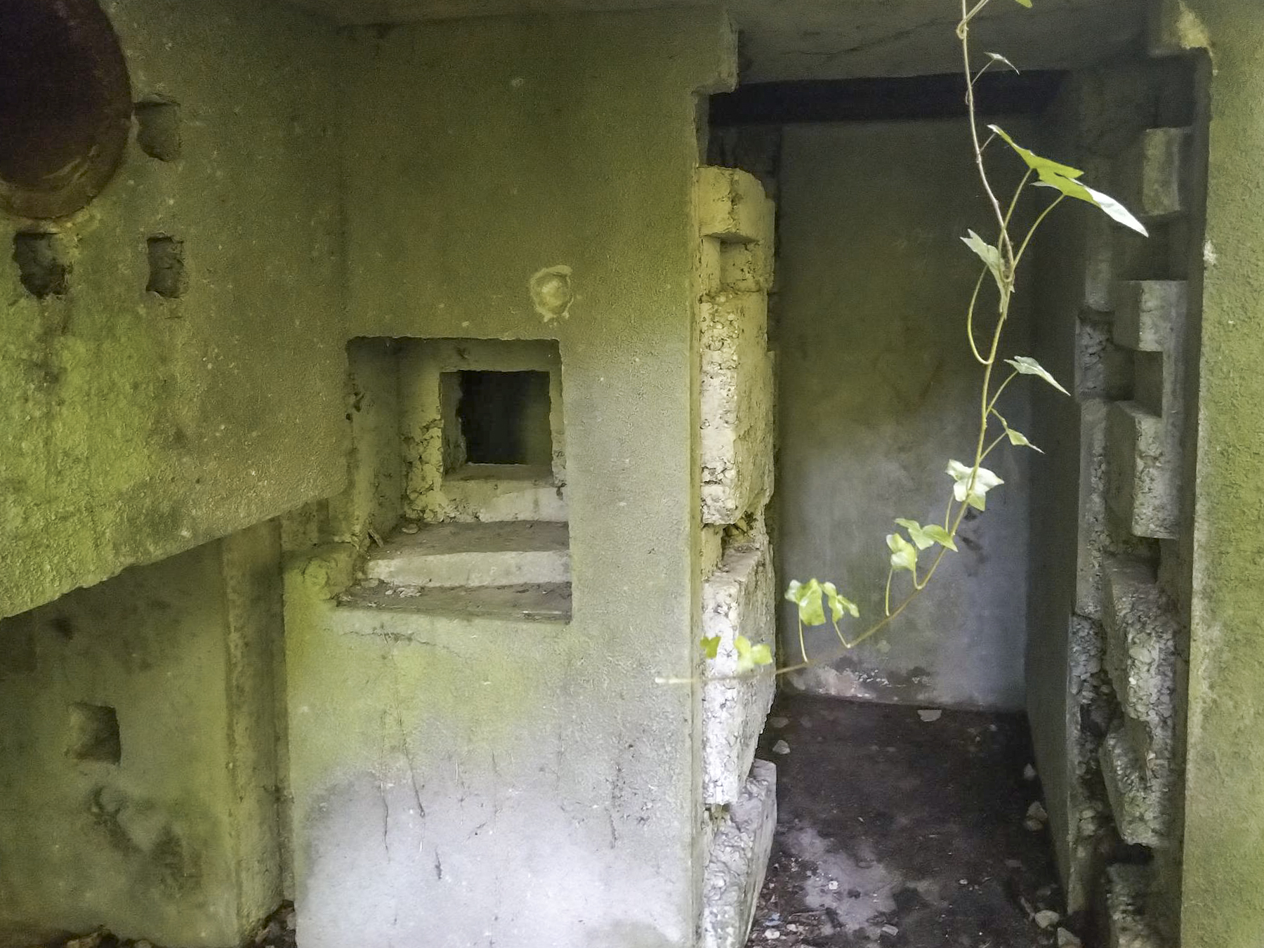 Ligne Maginot - SCHIRRHEINERWEG EST - (Casemate d'infanterie) -  - Mathis