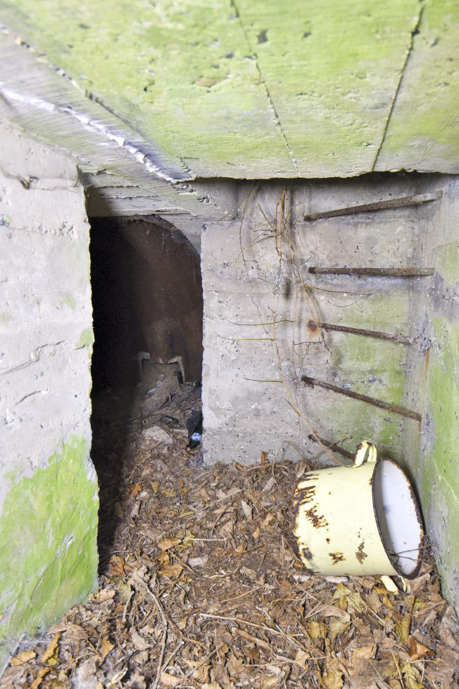 Ligne Maginot - B22 - MOULINS - (Blockhaus pour arme infanterie) -  - Ludovic KNAPP