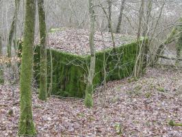Ligne Maginot - CB85-C - BARRUNGSHOFF - (Blockhaus pour arme infanterie) - Le blockhaus vu de l'arrière.
L'entrée est en partie remblayée.