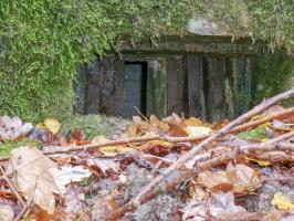 Ligne Maginot - CB87-A - BORNUNGSHOFF EST - (Blockhaus pour arme infanterie) - 
