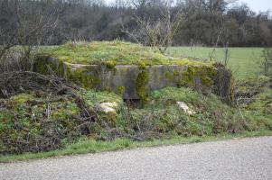 Ligne Maginot - DB18-D - FOND TOURNA - (Blockhaus pour arme infanterie) - Vu de l'avant
A moins de 150 mètres de l'ouvrage A5/Bois du Four cet ouvrage est en train de disparaître car la nature reprend ses droits