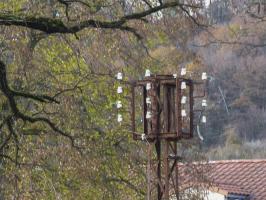 Ligne Maginot - VECKRING - (Camp de sureté) - 