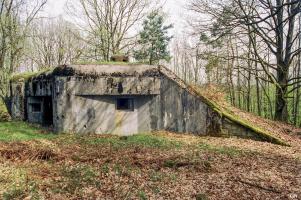 Ligne Maginot - BIESENBERG 4 - (Blockhaus pour arme infanterie) - 