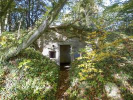 Ligne Maginot - BATZENTHALER BUSCH (2° BON - 169° RIF) - (PC de Quartier) - 