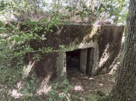 Ligne Maginot - CB309 - ZEITERHOLZ EST - (Blockhaus pour canon) - Accès arrière 