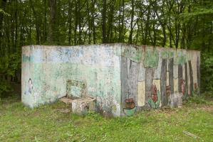 Ligne Maginot - CB311 - ZEITERHOLZ 1 - (Blockhaus pour arme infanterie) - Vue en 2012