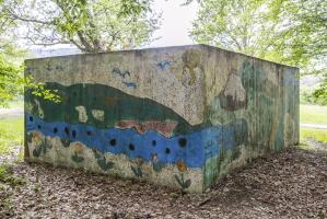 Ligne Maginot - CB311 - ZEITERHOLZ 1 - (Blockhaus pour arme infanterie) - Vue arrière
2012