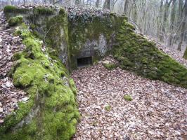 Ligne Maginot - BOIS DE LA TIEFKEIL - 