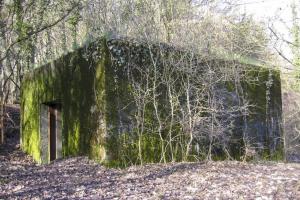 Ligne Maginot - CB317 - BROMMELSBERG NORD - (Blockhaus pour canon) - 