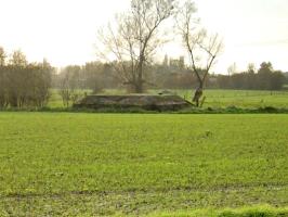 Ligne Maginot - BEF 759 - PONT DU FORET SUD OUEST - (Blockhaus pour arme infanterie) - 