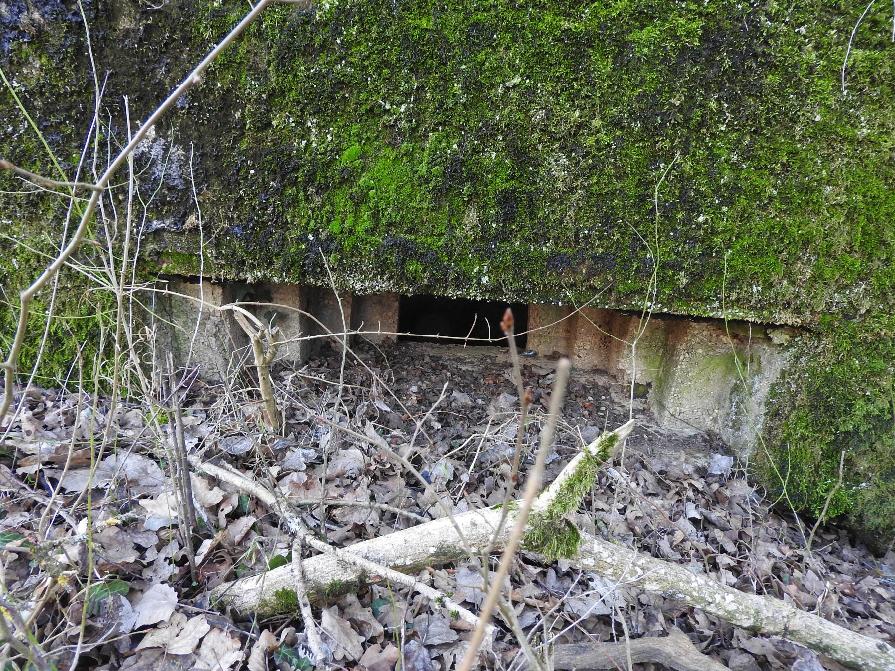 Ligne Maginot - CB89-B - BORNUNGSHOFF 3 - (Blockhaus pour arme infanterie) - Le créneau de tir. - STENGER Mathieu