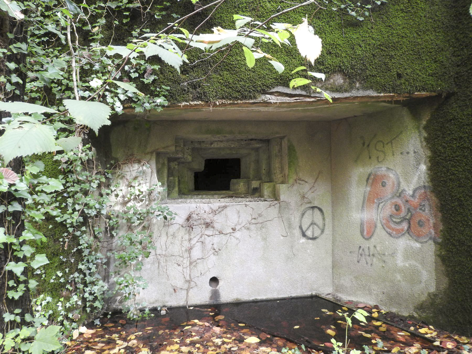 Ligne Maginot - SCHIRRHEINERWEG OUEST - (Casemate d'infanterie - Simple) - Le créneau anti-char. - STENGER Mathieu