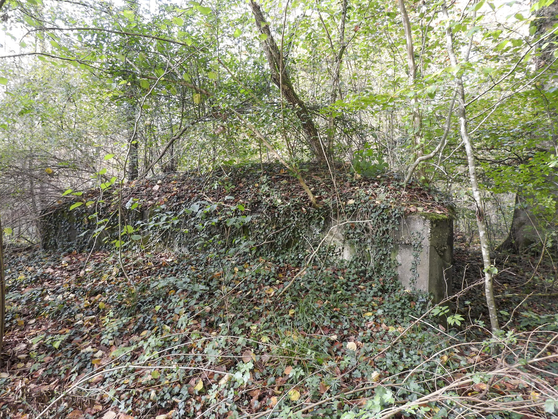 Ligne Maginot - FINNHAAG 1 - (Blockhaus pour canon) - La vue de côté du blockhaus. - STENGER Mathieu
