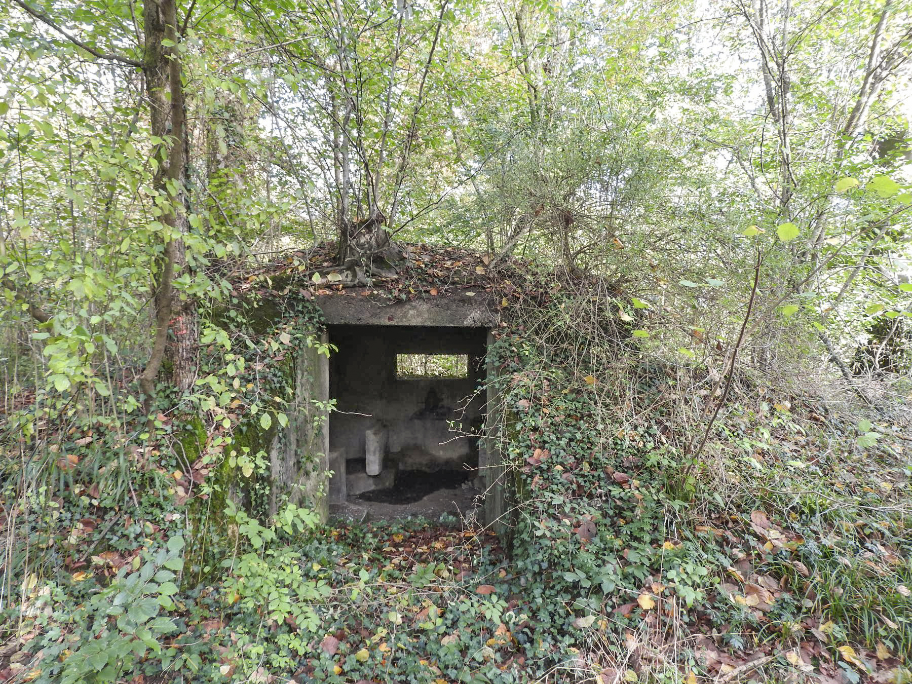 Ligne Maginot - FINNHAAG 1 - (Blockhaus pour canon) - L'arrière du blockhaus avec son entrée. - STENGER Mathieu