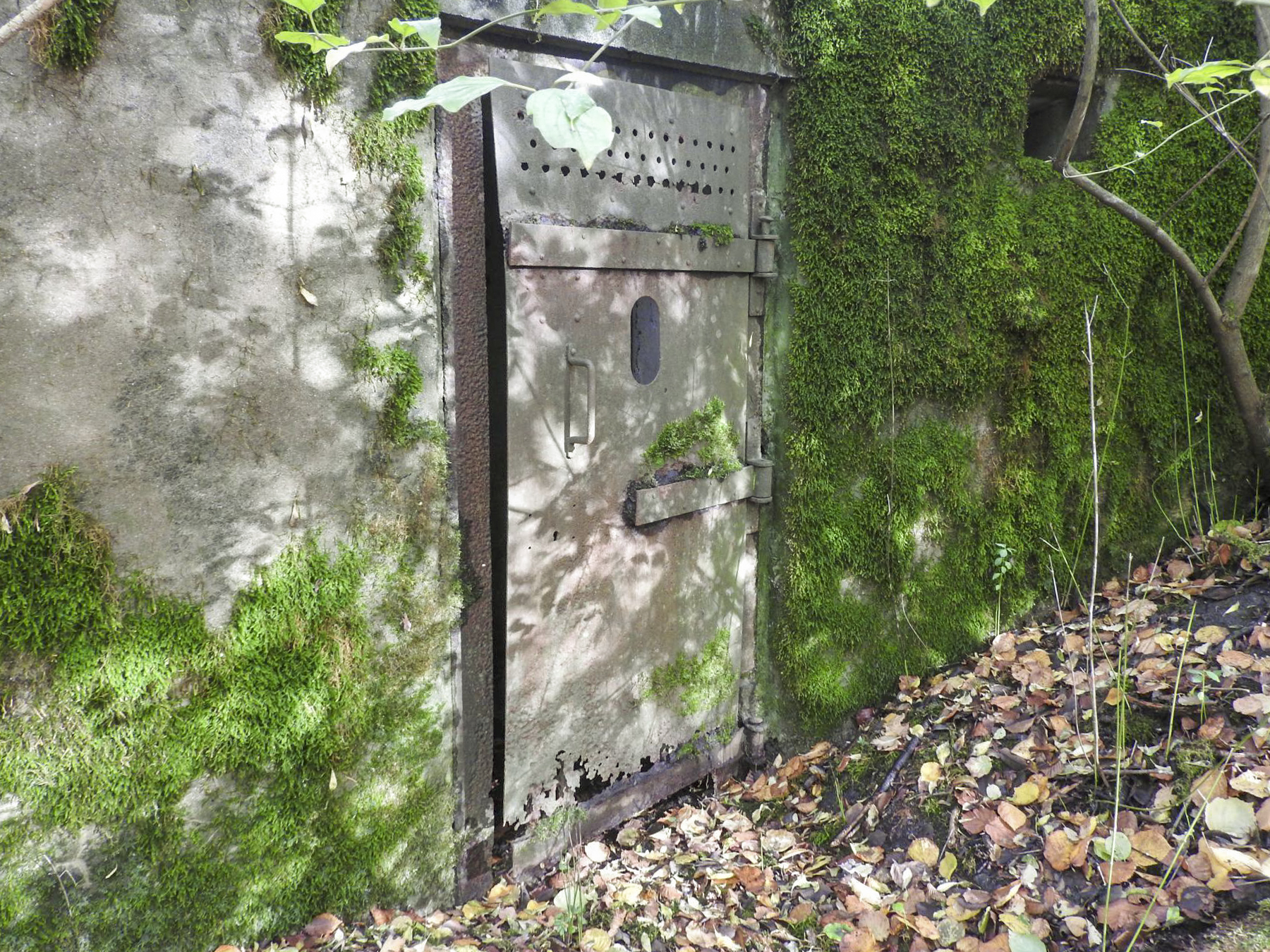 Ligne Maginot - FINNHAAG 2 - (Blockhaus pour arme infanterie) - L'entrée avec encore sa porte métallique. - STENGER Mathieu