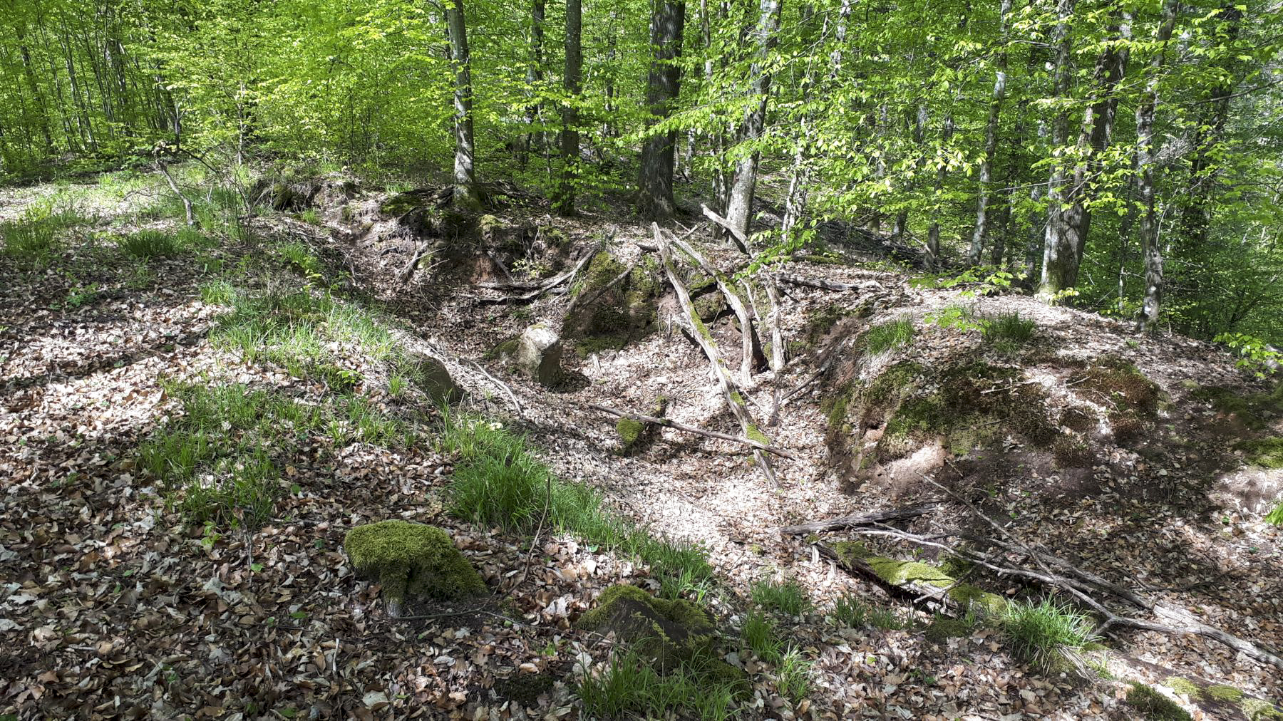 Ligne Maginot - CR DE LEMBACH - (PC de Sous-Quartier) - Emplacement probable du PC - Gregory Fuchs
