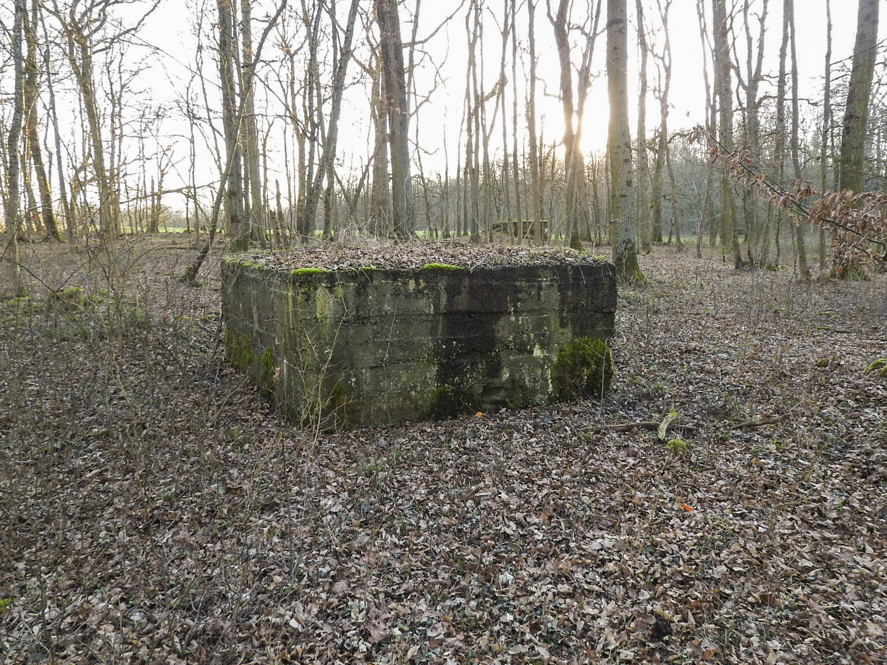 Ligne Maginot - CB89 - BORNUNGSHOFF 1 - (Blockhaus pour arme infanterie) - Les blockhaus 1 et 2. - STENGER Mathieu