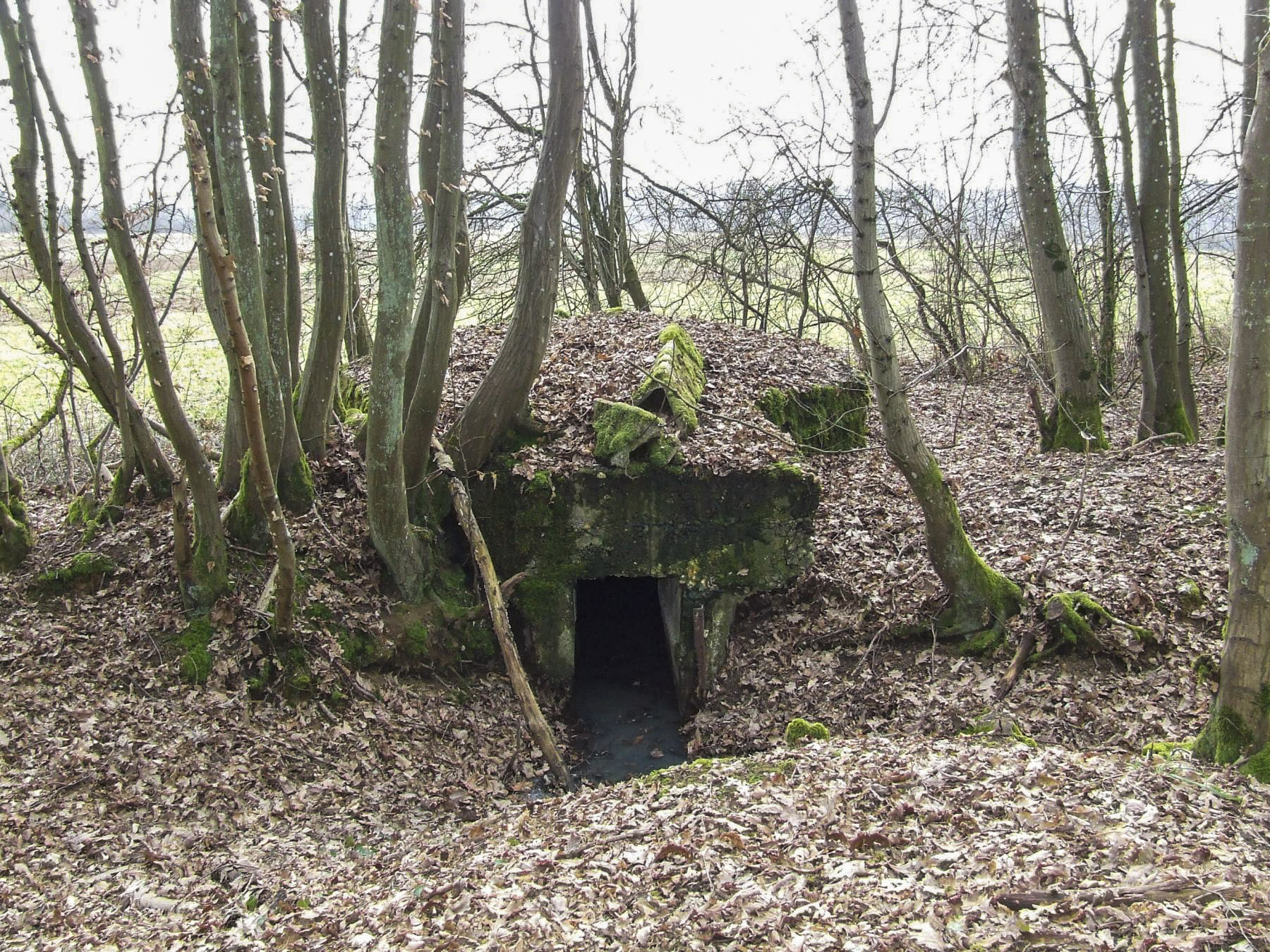 Ligne Maginot - KUHDRECK 5 - (Blockhaus pour arme infanterie) - L'entrée du blockhaus. - STENGER Mathieu