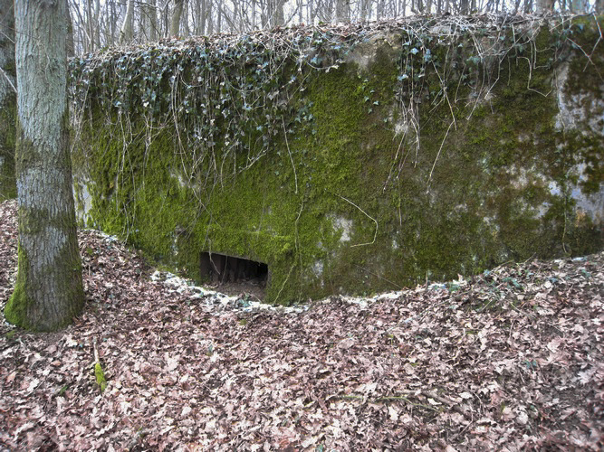 Ligne Maginot - CB296 - KUHDRECK 2 - (Blockhaus pour arme infanterie) -  - Pruzsina Jérome