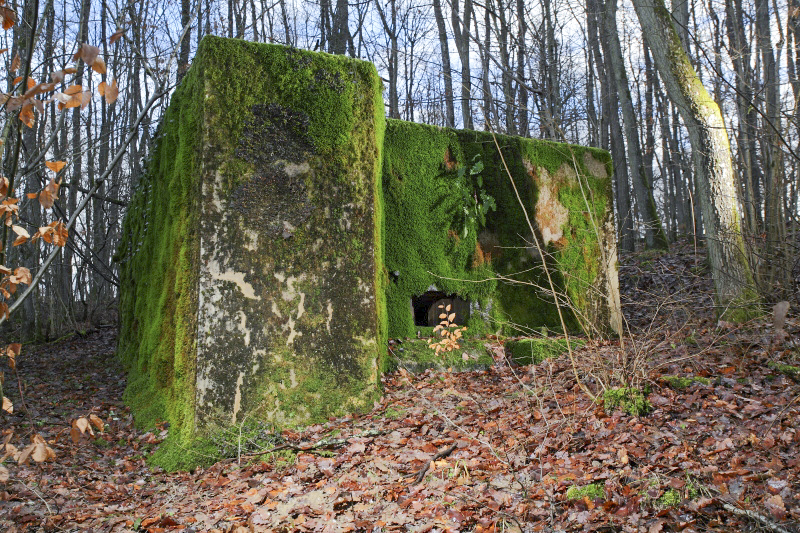 Ligne Maginot - CB85-C - BARRUNGSHOFF - (Blockhaus pour arme infanterie) -  - www.arnaultjl-photo.com