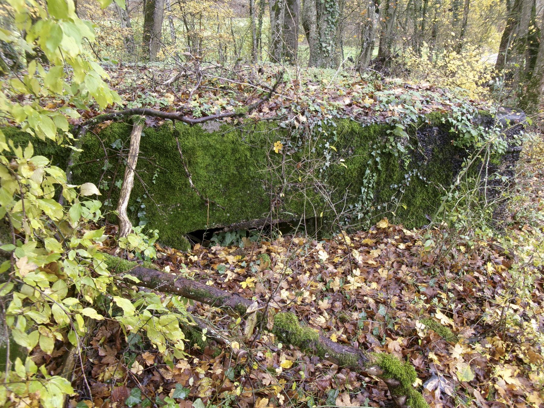 Ligne Maginot - CB89-B - BORNUNGSHOFF 3 - (Blockhaus pour arme infanterie) -  - Marc Fossoul