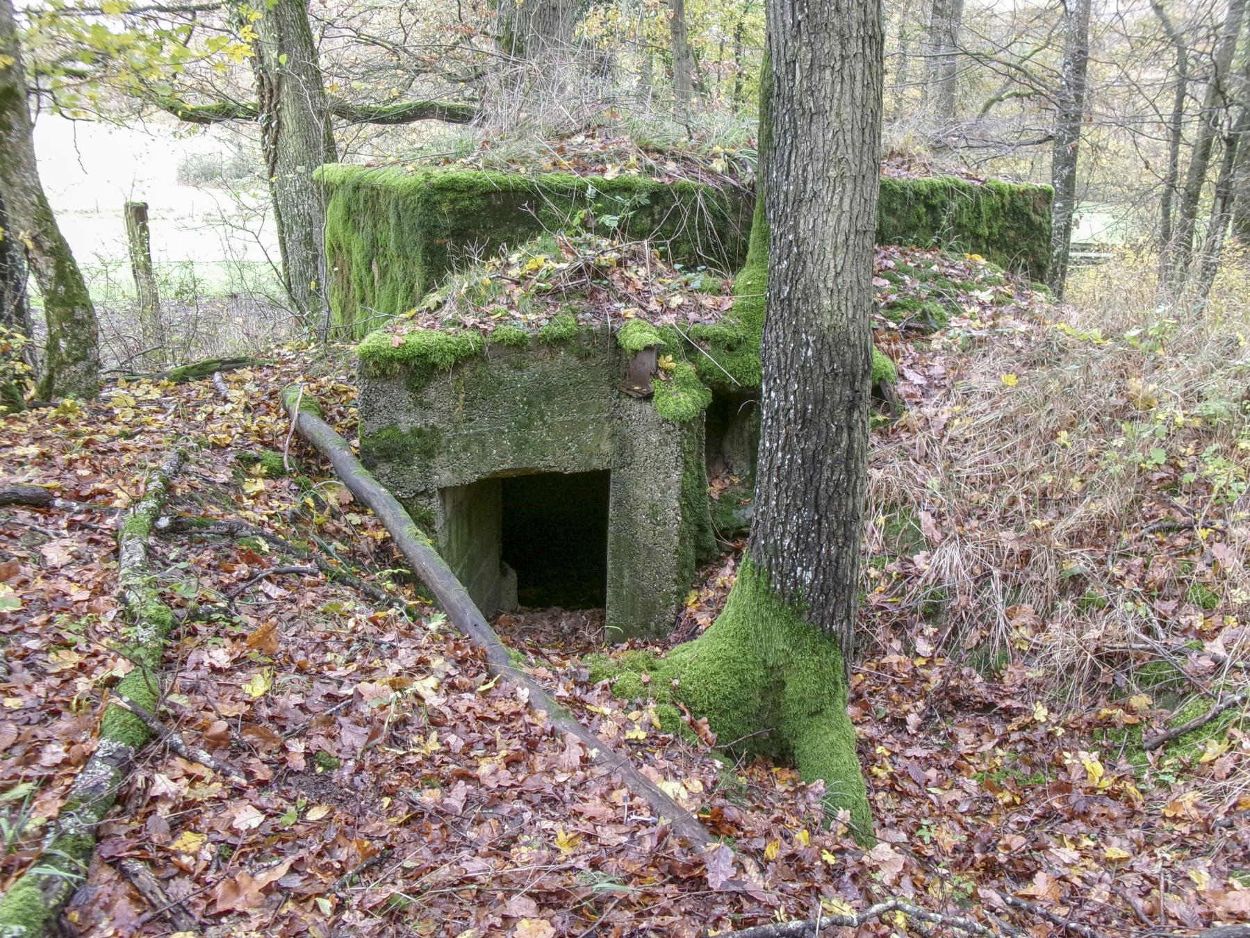 Ligne Maginot - CB89-A - BORNUNGSHOFF 2 - (Blockhaus pour arme infanterie) - L'avancée de l'entrée - Marc Fossoul