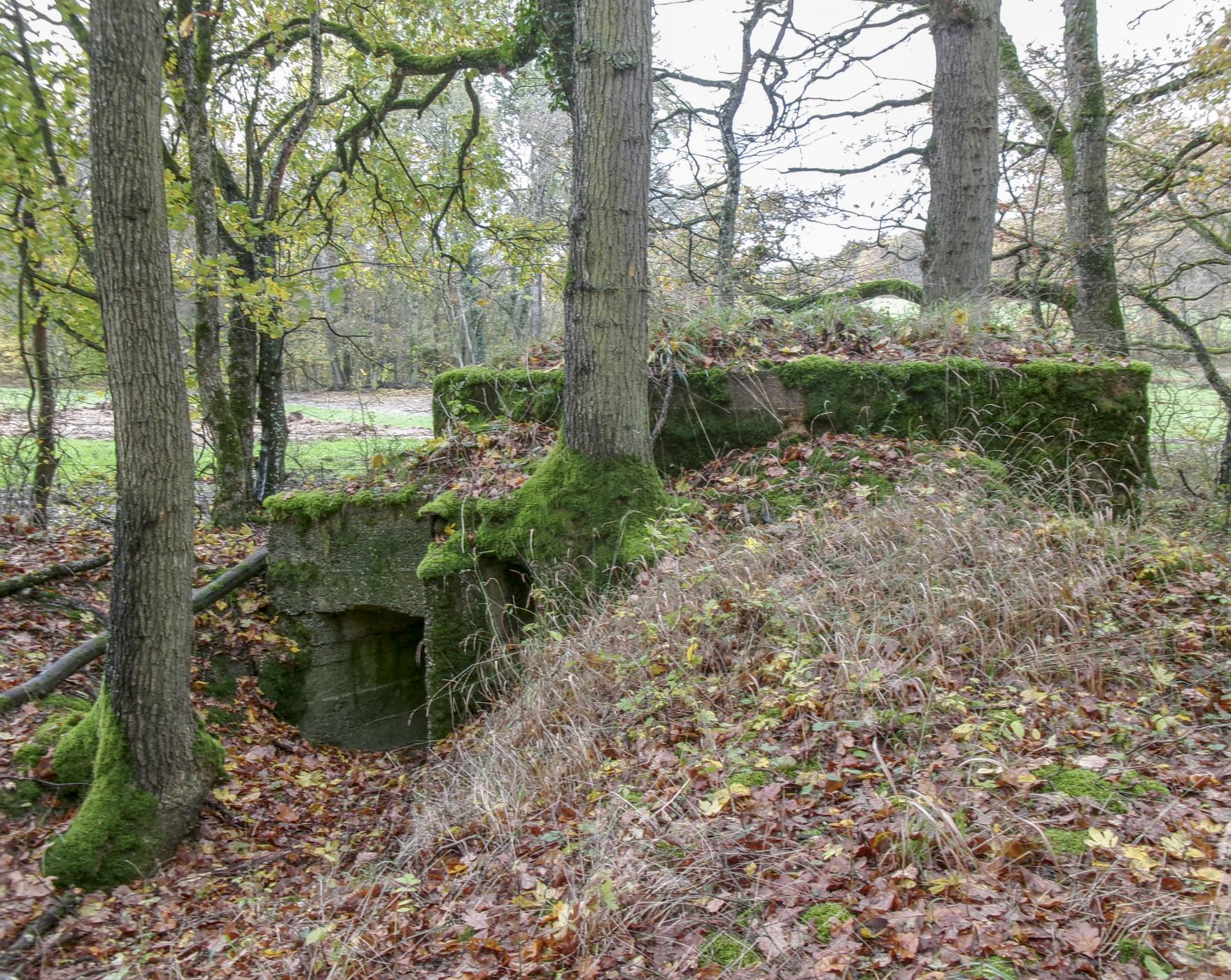 Ligne Maginot - CB89-A - BORNUNGSHOFF 2 - (Blockhaus pour arme infanterie) -  - Marc Fossoul