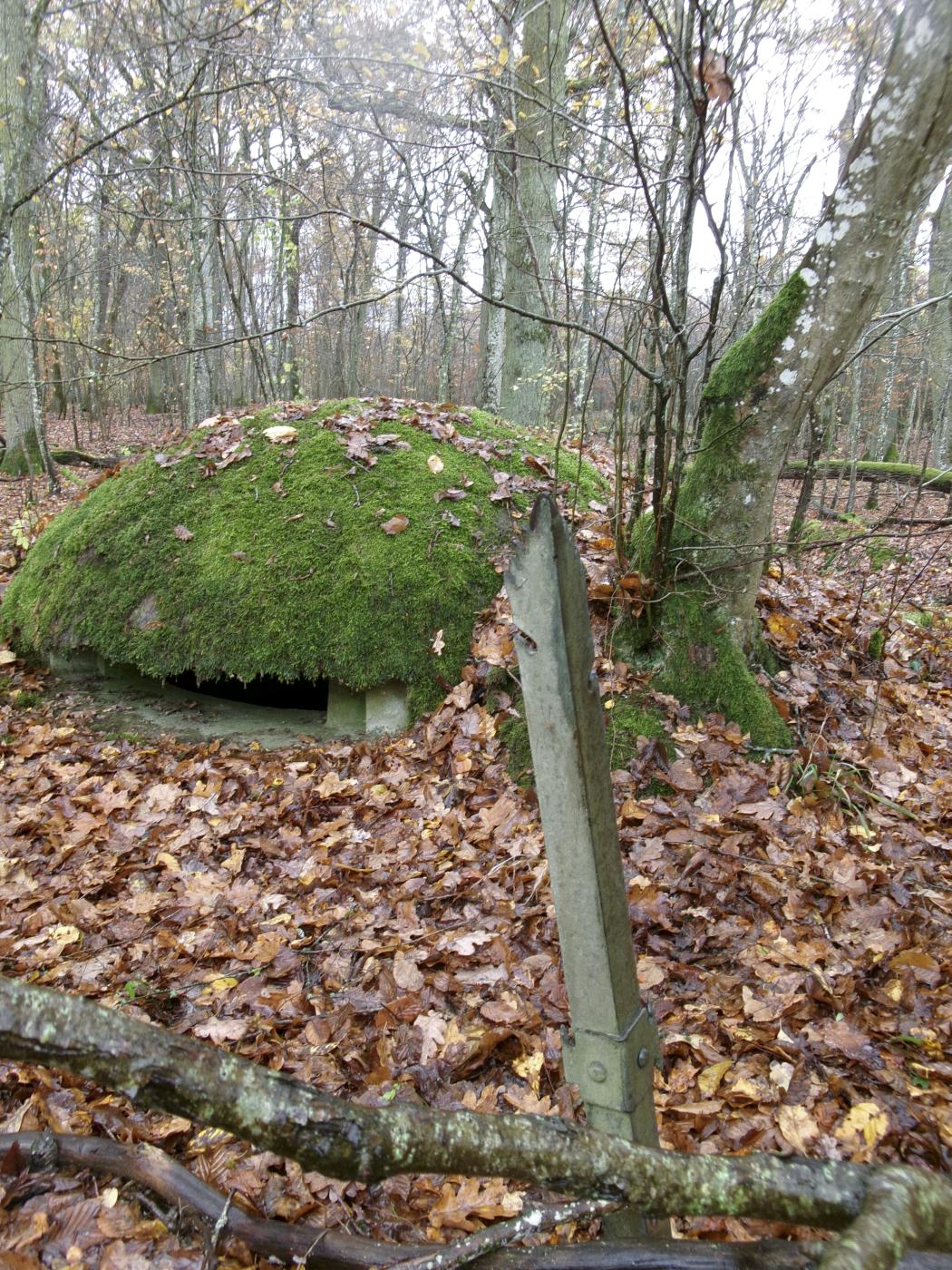 Ligne Maginot - CT53 - (Cuve pour arme d'infanterie) - Un piquet de barbelés d'origine Allemande - Marc Fossoul