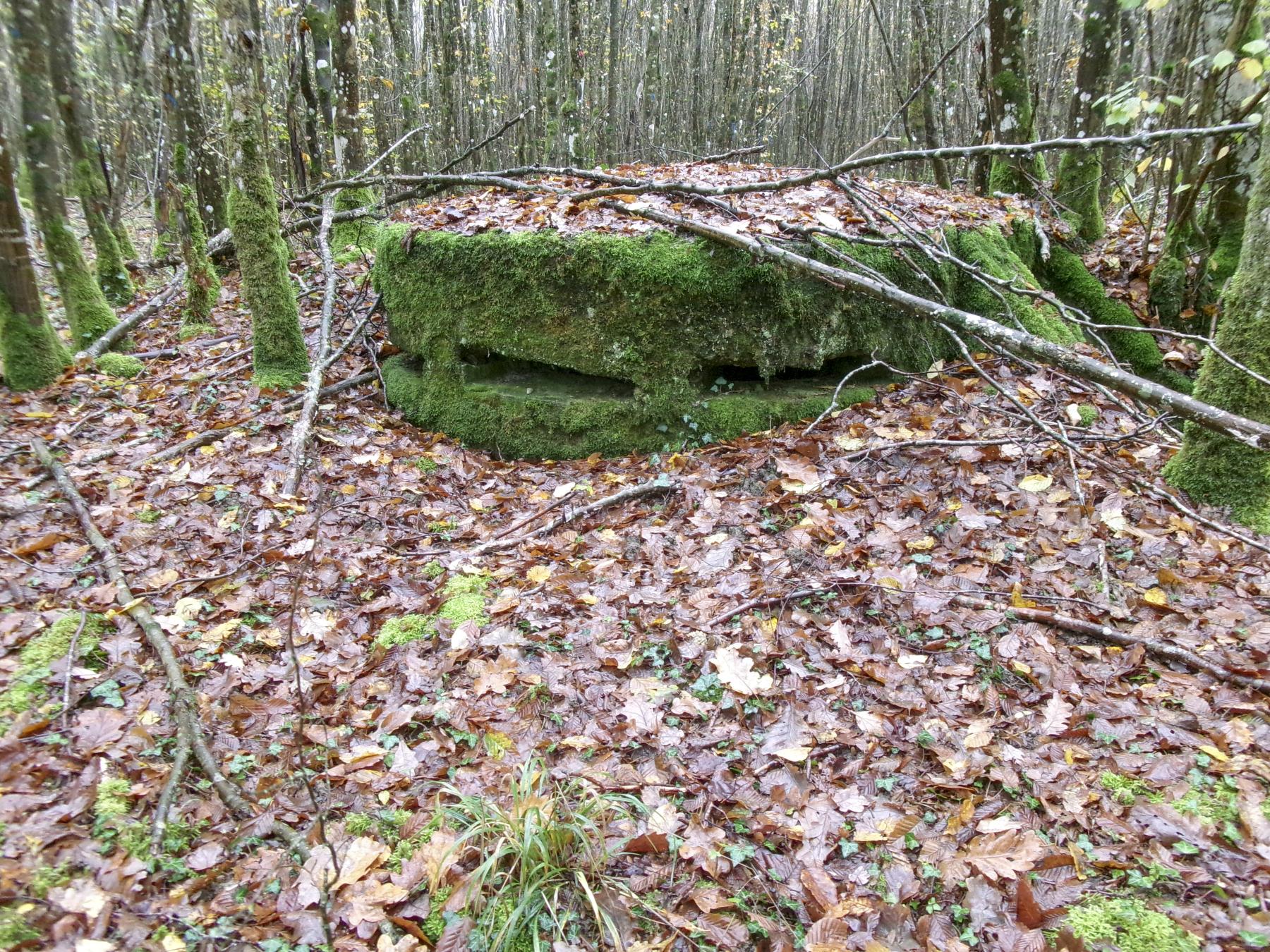 Ligne Maginot - UNTERE TRAUSCH CENTRE - (Observatoire d'infanterie) -  - Marc Fossoul