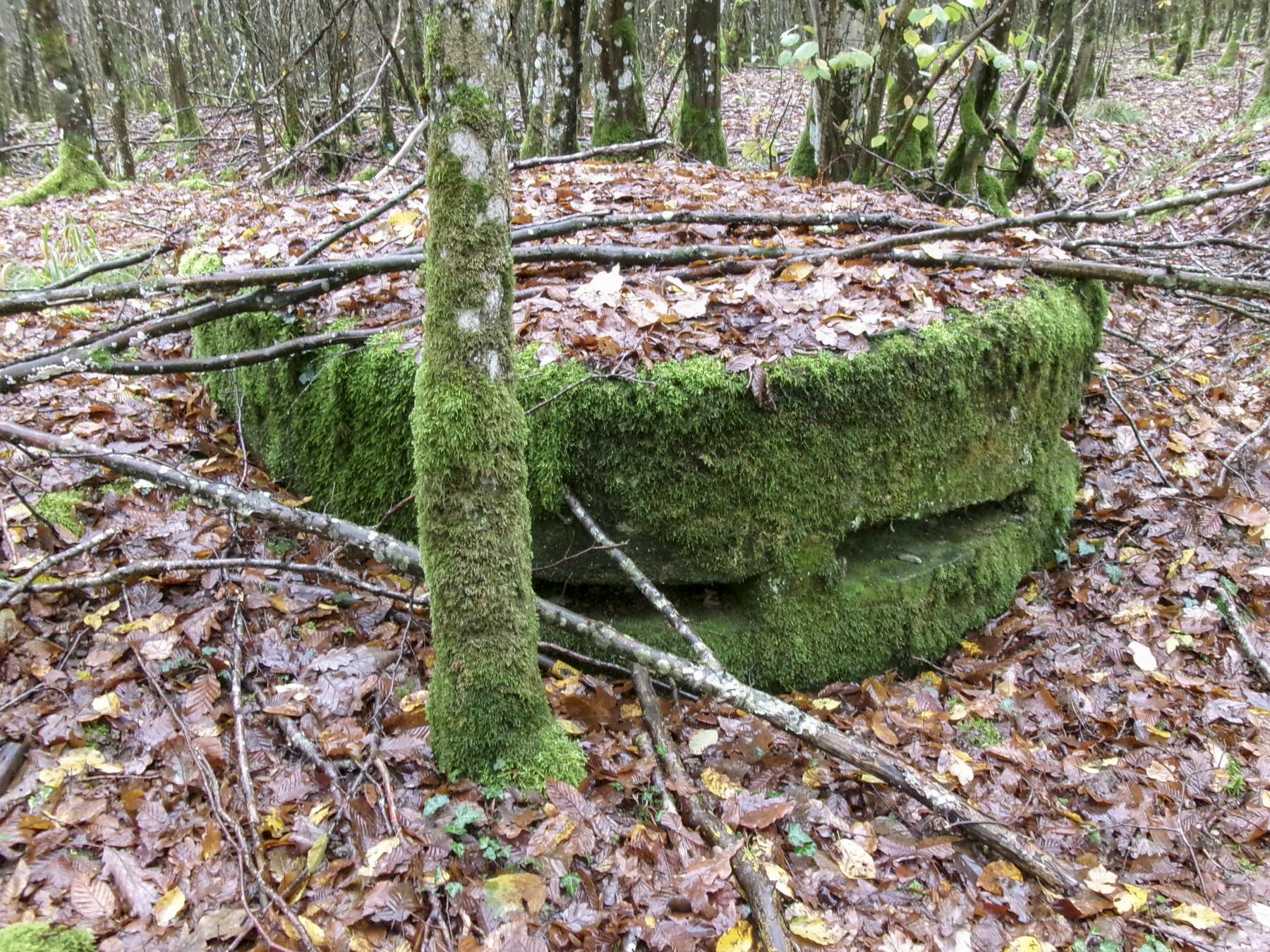 Ligne Maginot - UNTERE TRAUSCH CENTRE - (Observatoire d'infanterie) -  - Marc Fossoul