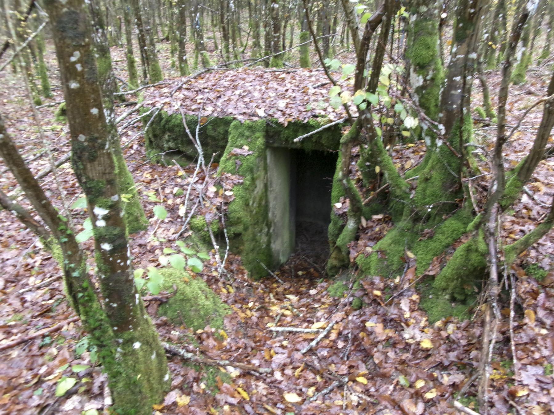 Ligne Maginot - UNTERE TRAUSCH CENTRE - (Observatoire d'infanterie) - L'entrée - Marc Fossoul