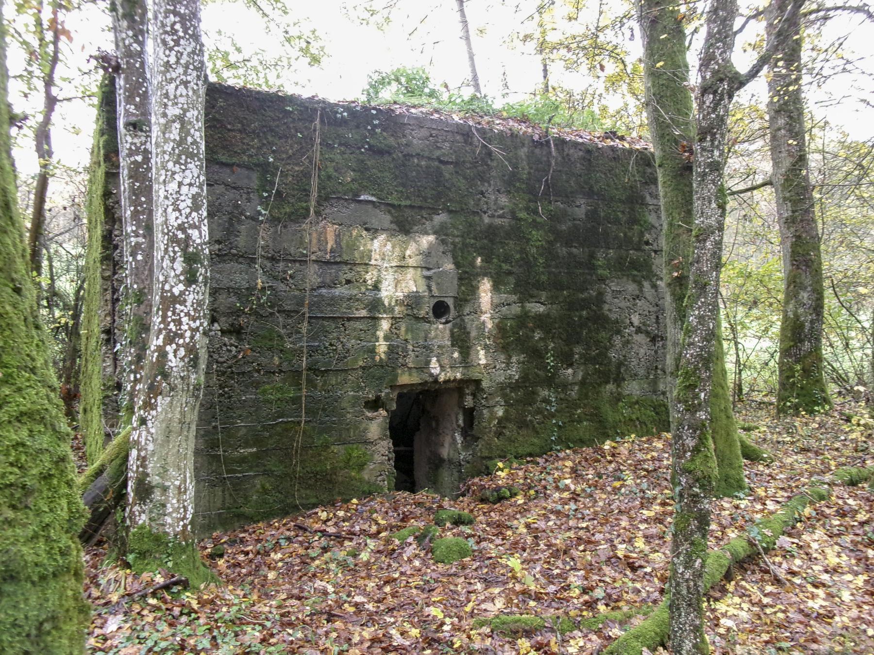 Ligne Maginot - MO-89C - BORNUNGSHOFF 4 - (Blockhaus pour arme infanterie) - L'entrée - Marc Fossoul