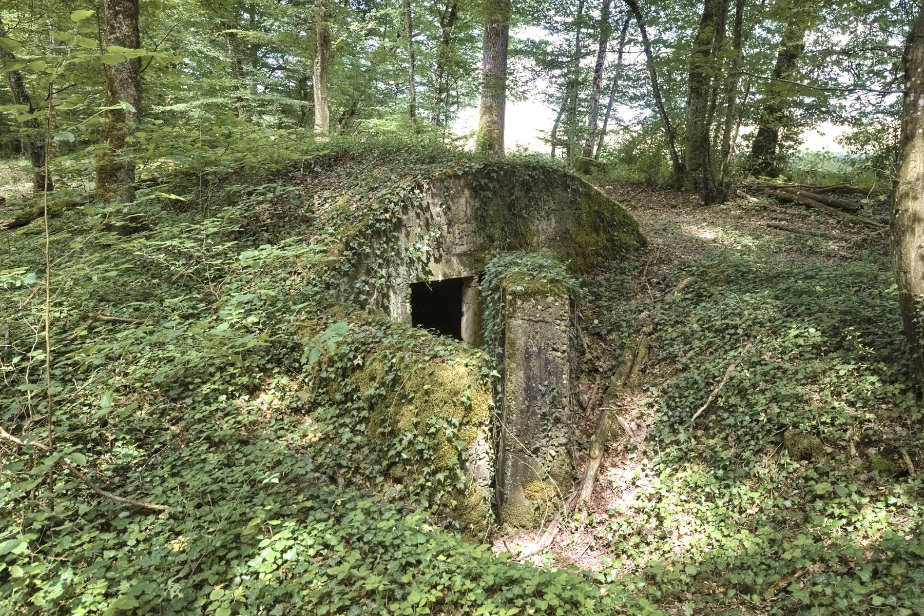 Ligne Maginot - ABRI GOEZERT - (Abri) -  - Thierry Caland