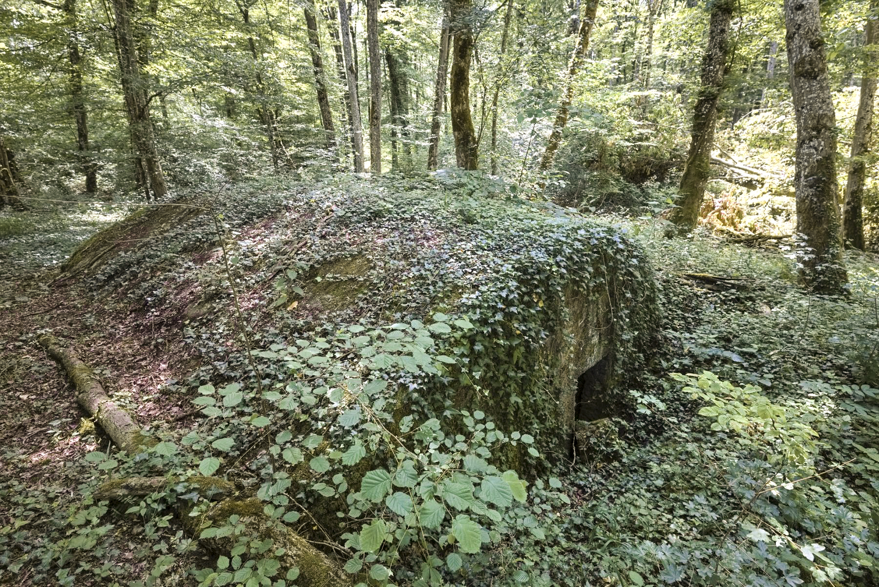 Ligne Maginot - ABRI GOEZERT - (Abri) -  - Thierry Caland