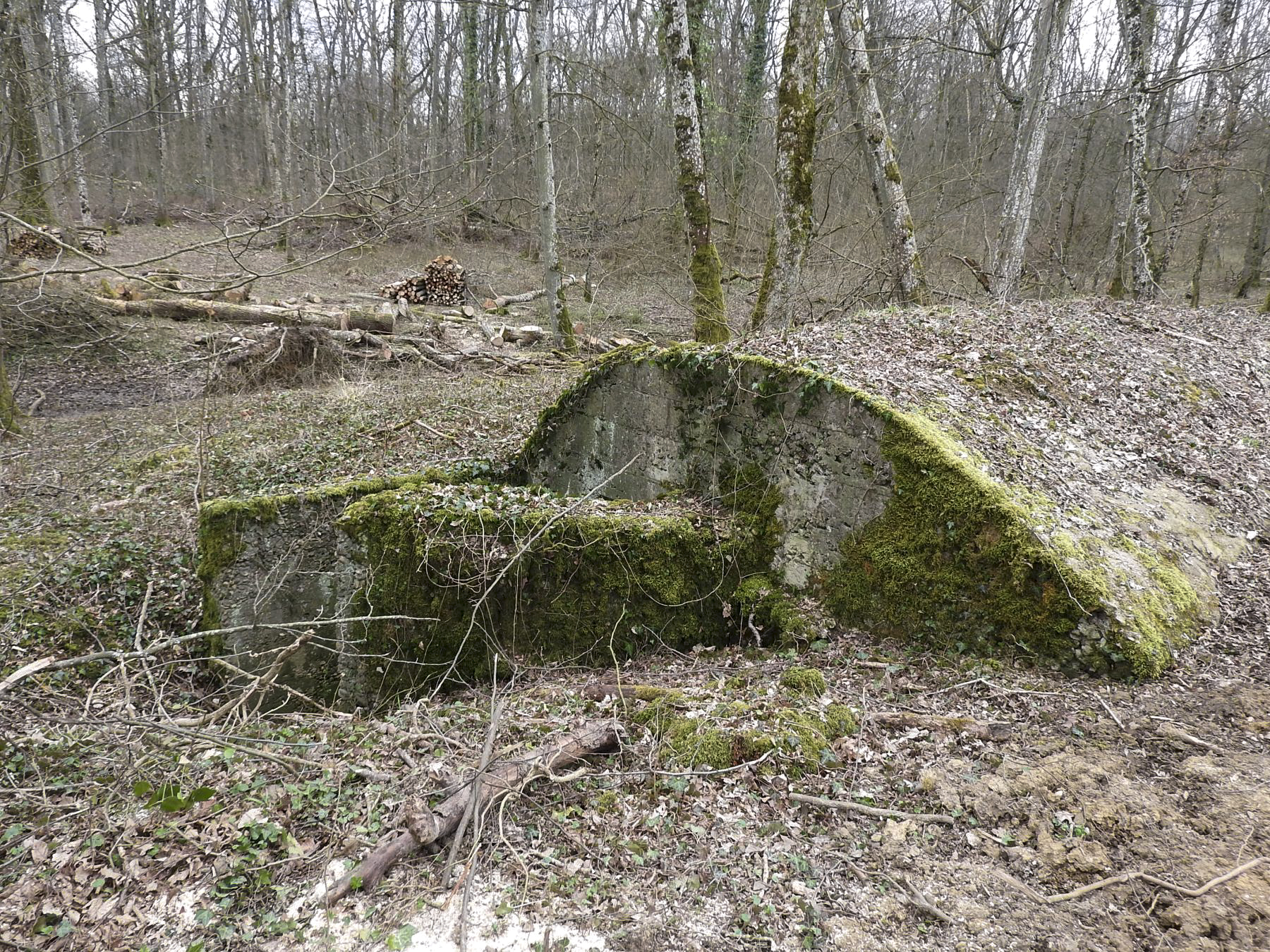 Ligne Maginot - ABRI GOEZERT - (Abri) - L'abri après des travaux forestiers. - STENGER Mathieu