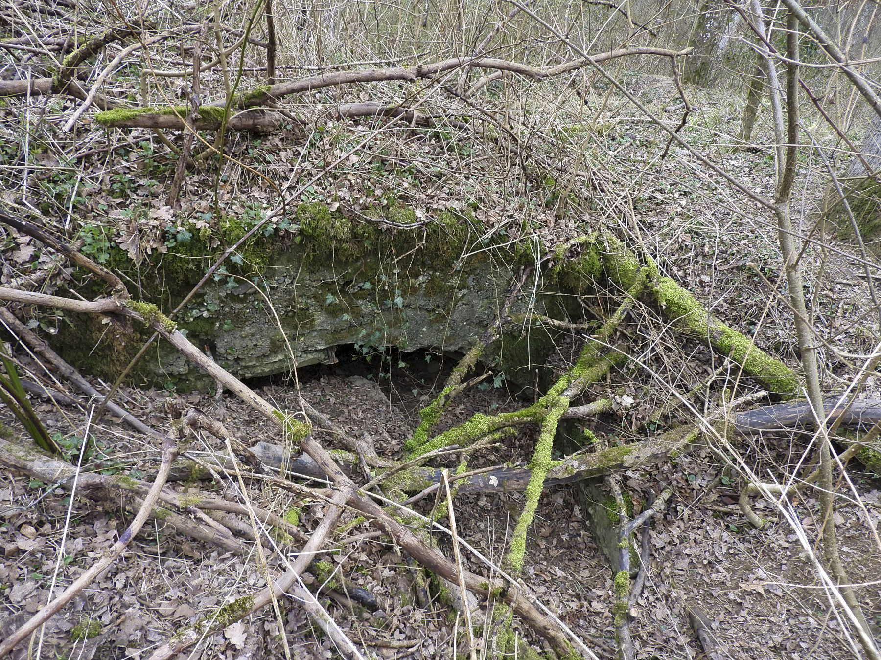 Ligne Maginot - GOEZERT - (Abri) - L'abri complètement détruit. - STENGER Mathieu