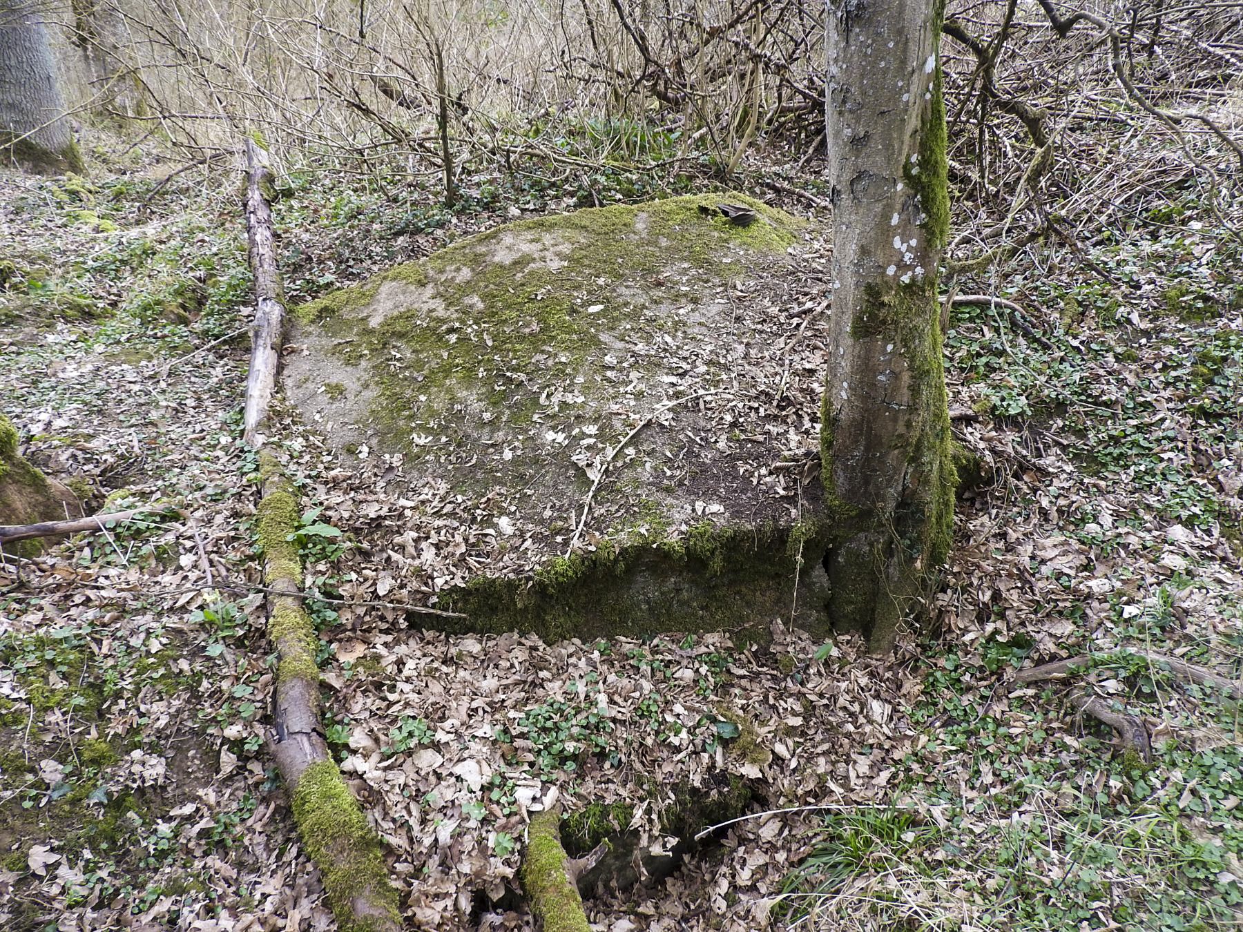 Ligne Maginot - GOEZERT - (Abri) - Les maigres restes visibles. - STENGER Mathieu