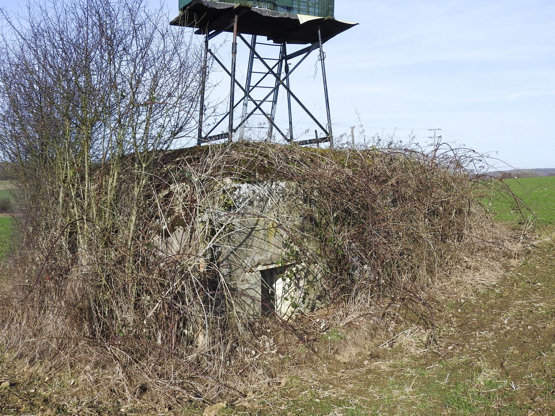 Ligne Maginot - MAISON ROUGE - (Blockhaus pour arme infanterie) - L'entrée est en partie remblayée. - STENGER Mathieu