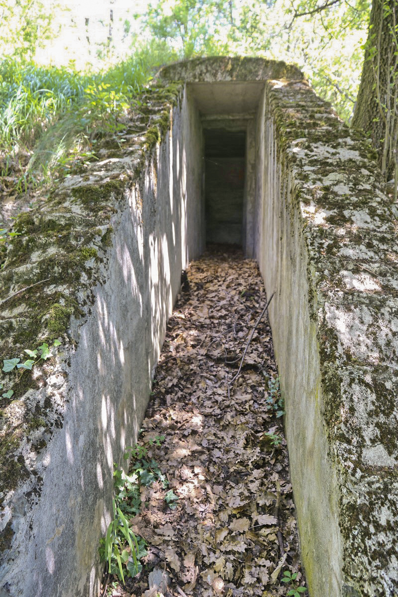 Ligne Maginot - LA VILLETTE 1 - (Blockhaus pour arme infanterie) - L'entrée dans la pente  - Alain Perouffe