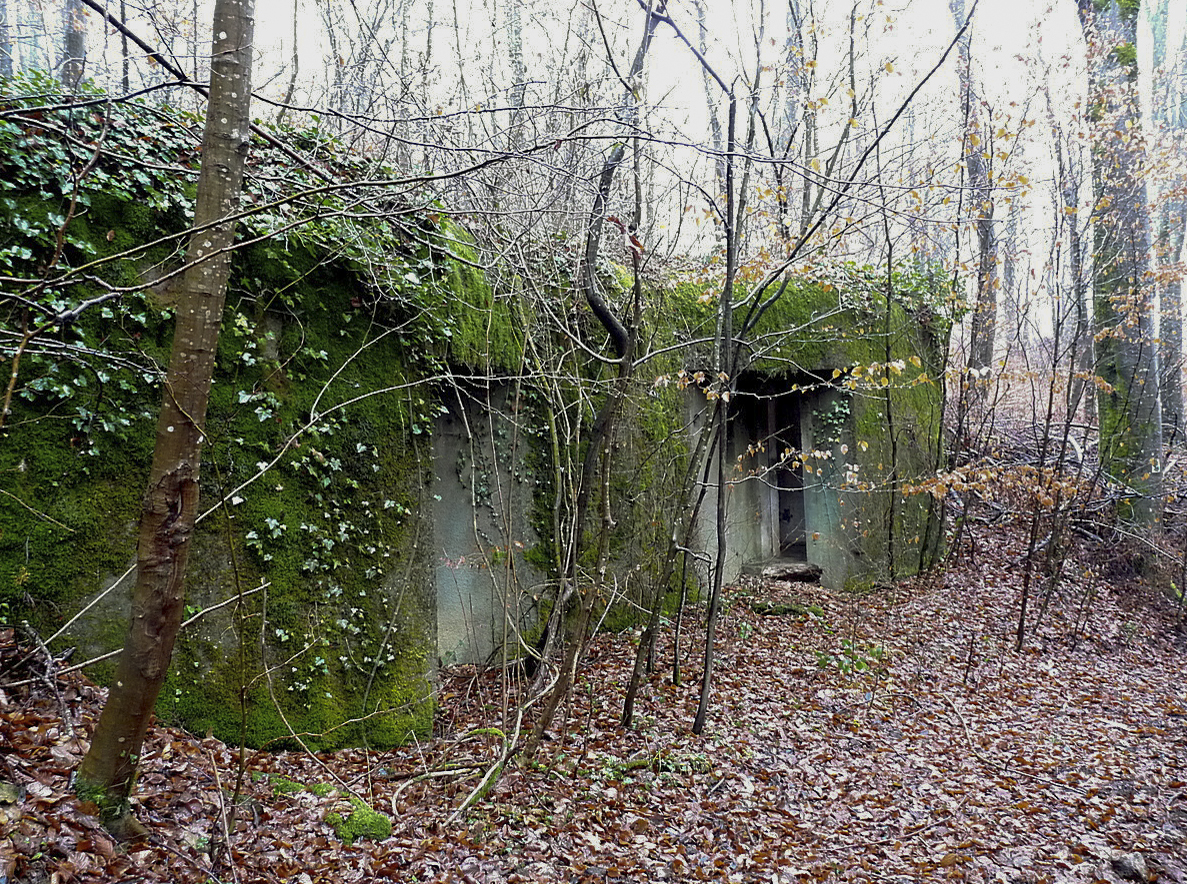 Ligne Maginot - BELLEVUE - (Central téléphonique d'observation) -  - Sylvie Laure LAMBERT