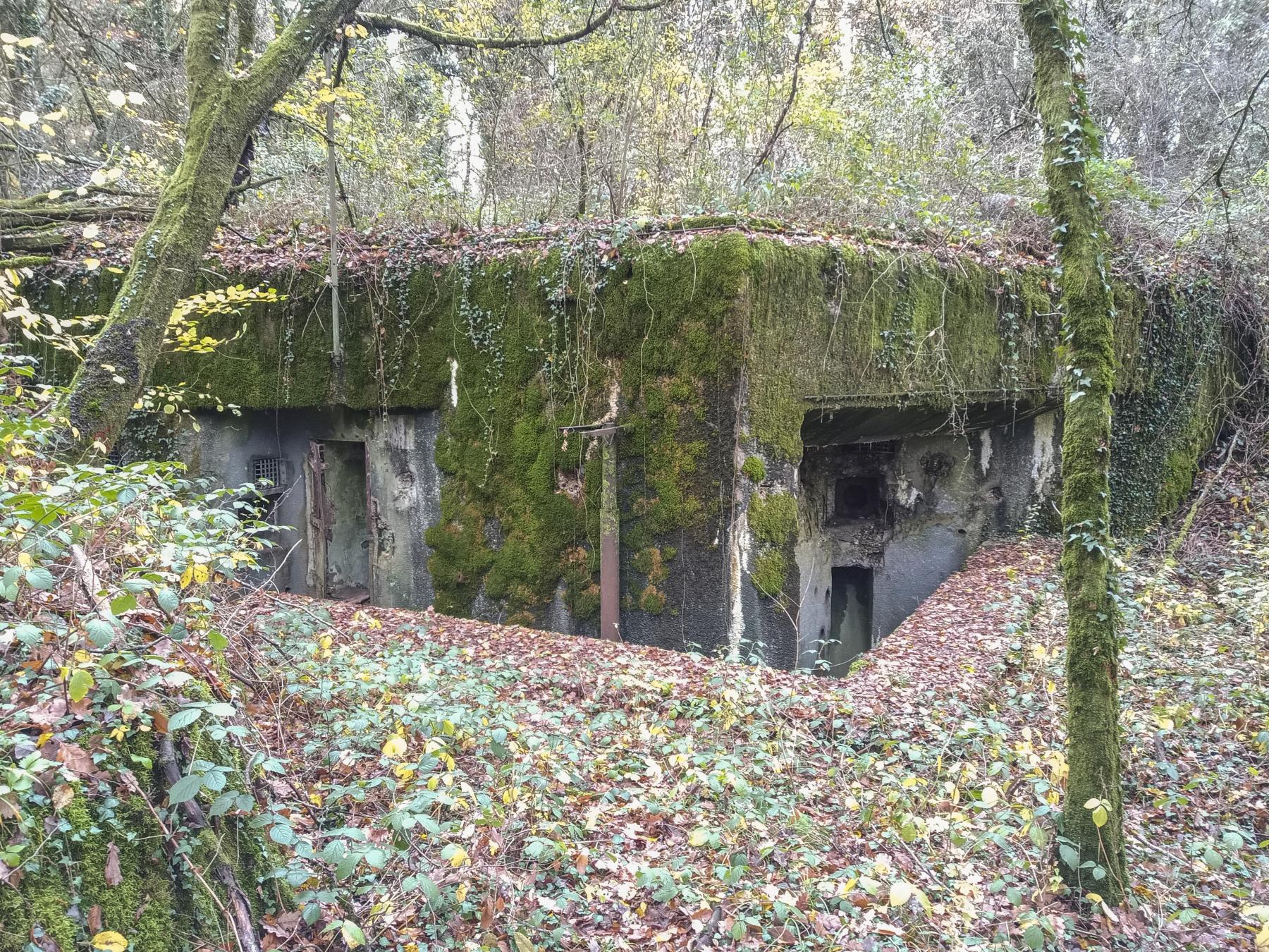 Ligne Maginot - BOUST - C44 - (Casemate d'infanterie - Simple) -  - Marc Fossoul