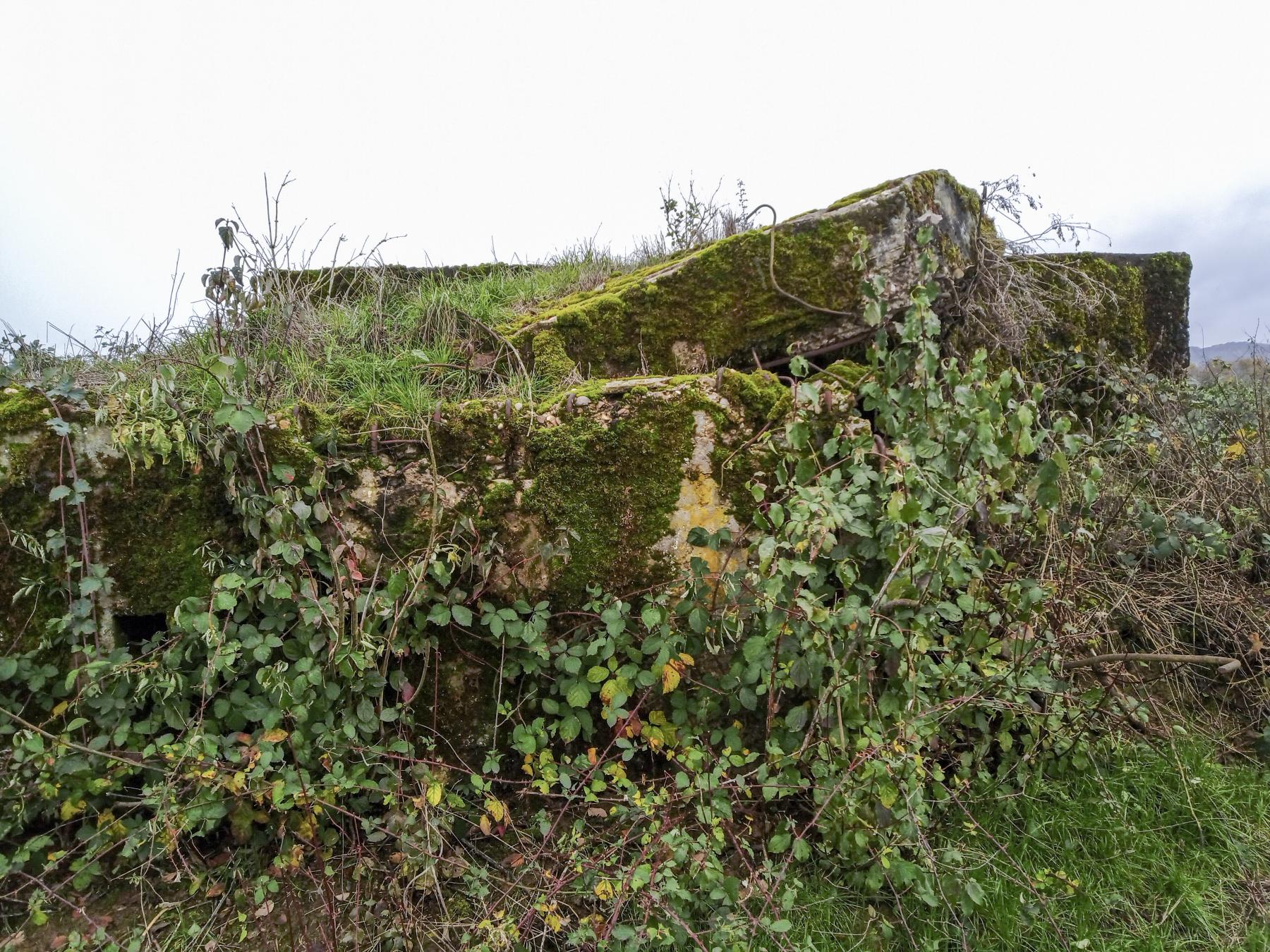 Ligne Maginot - IMMEREN 4 - (Blockhaus pour arme infanterie) -  - Marc Fossoul