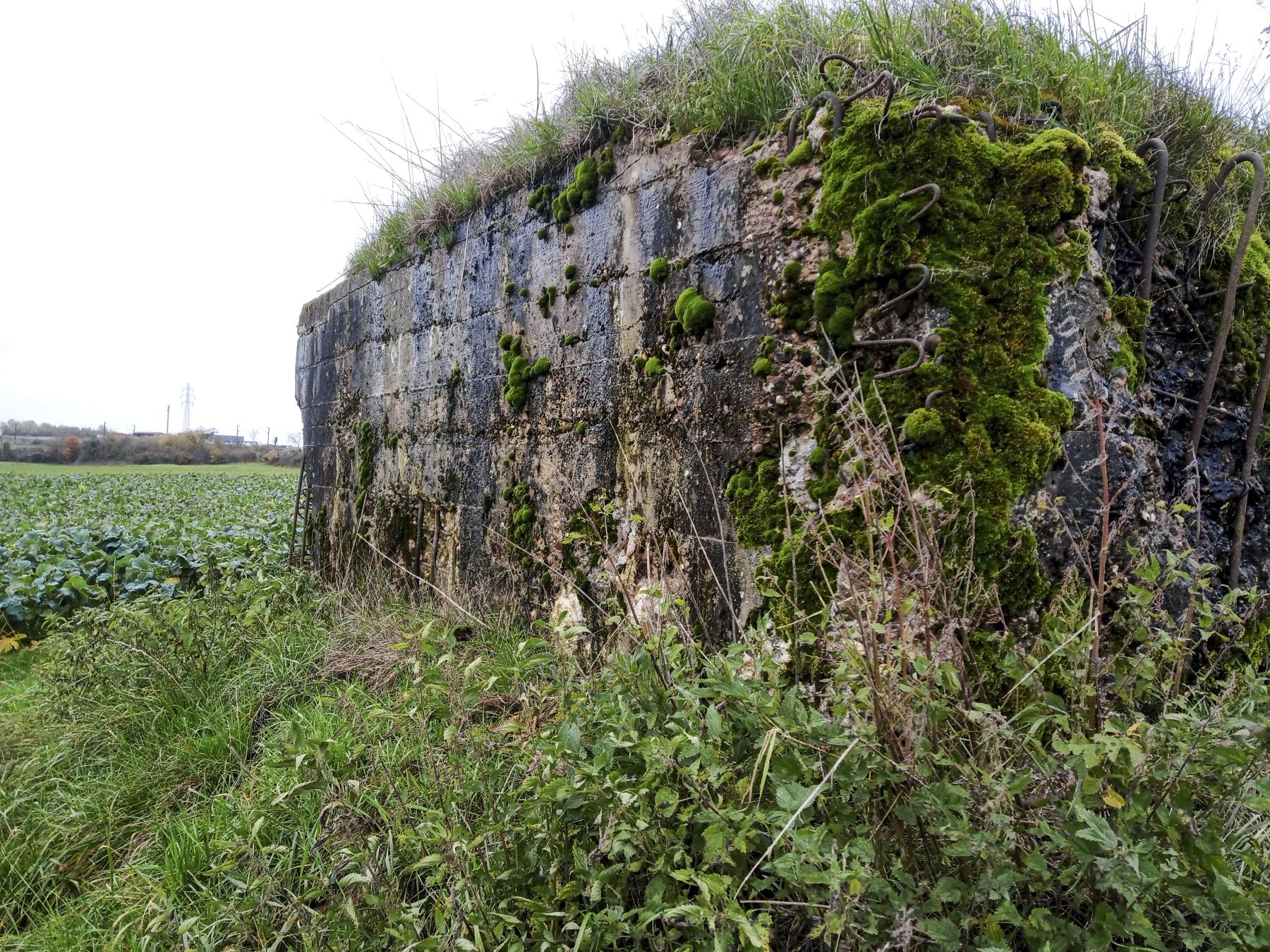 Ligne Maginot - IMMEREN 5 - (Blockhaus pour arme infanterie) -  - Marc Fossoul