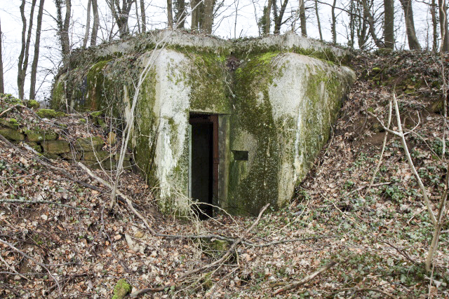 Ligne Maginot - DB16 - (Blockhaus pour arme infanterie) -  - www.arnaultjl-photo.com